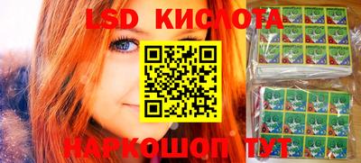 стаф Кулебаки